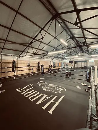 Harry's Boxing Club