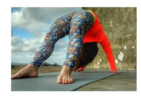 Pranayana Ashtanga Yoga