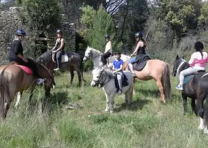 Cheval d'Ehwaz