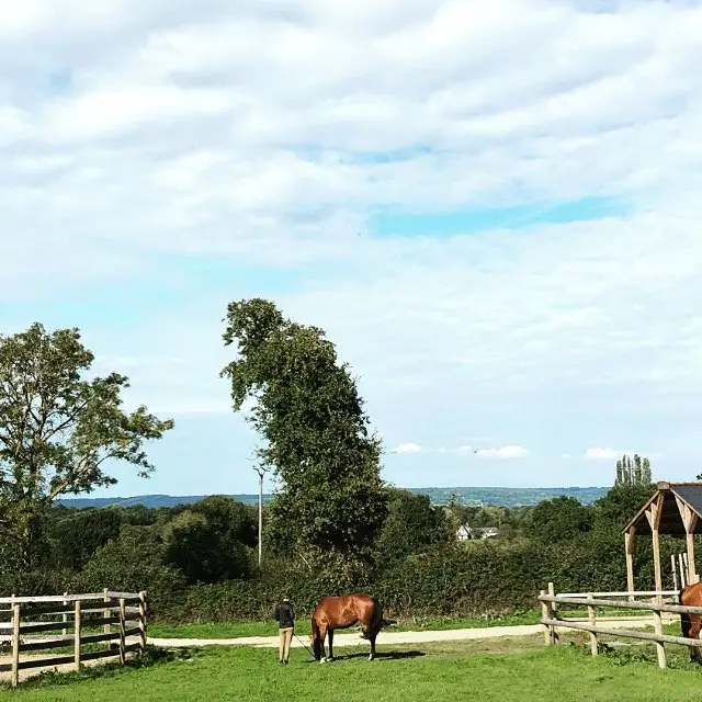 A 10 Mn De Deauville Balade À Horse Area De L'atlas