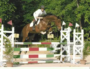 Stud De Triaval