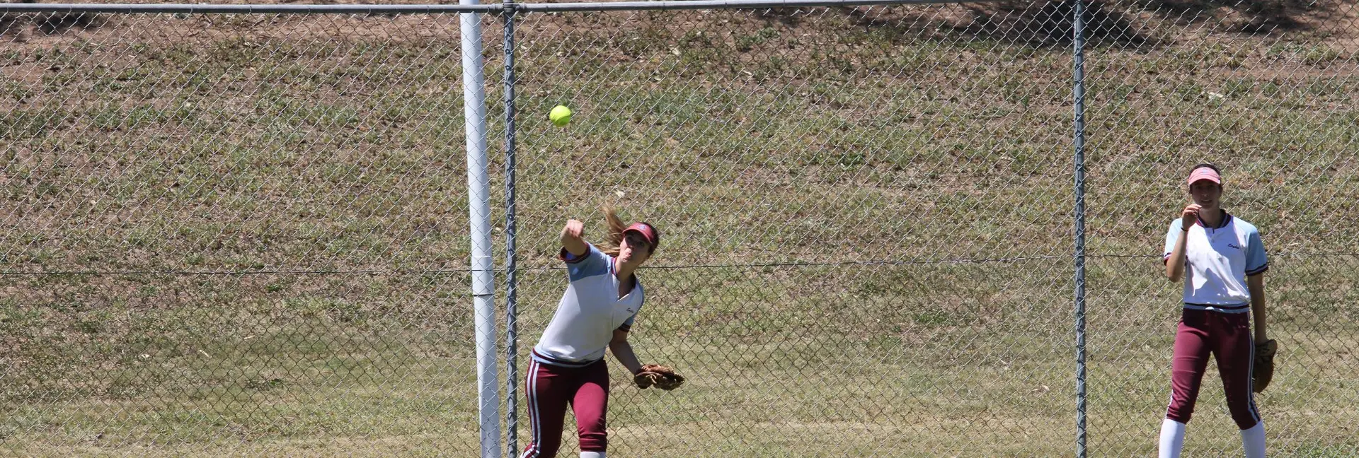 Softball NSW
