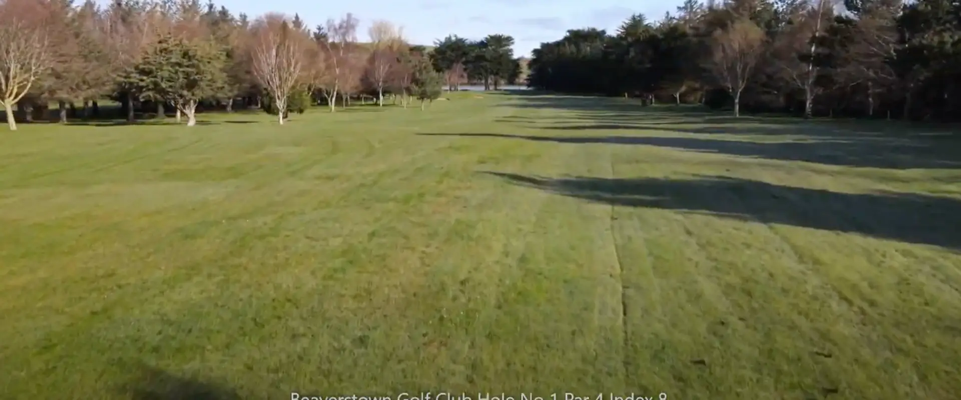 Beaverstown Golf Club