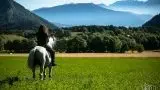 Les Chevaux D'edoras