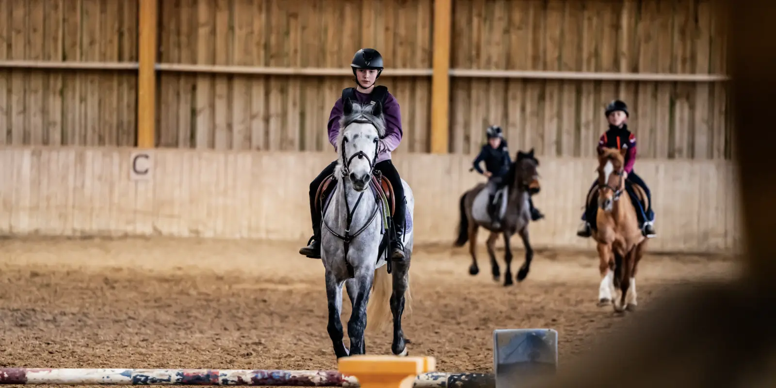 Brisac Equiteam.
