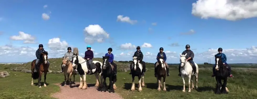 Tynings Farm