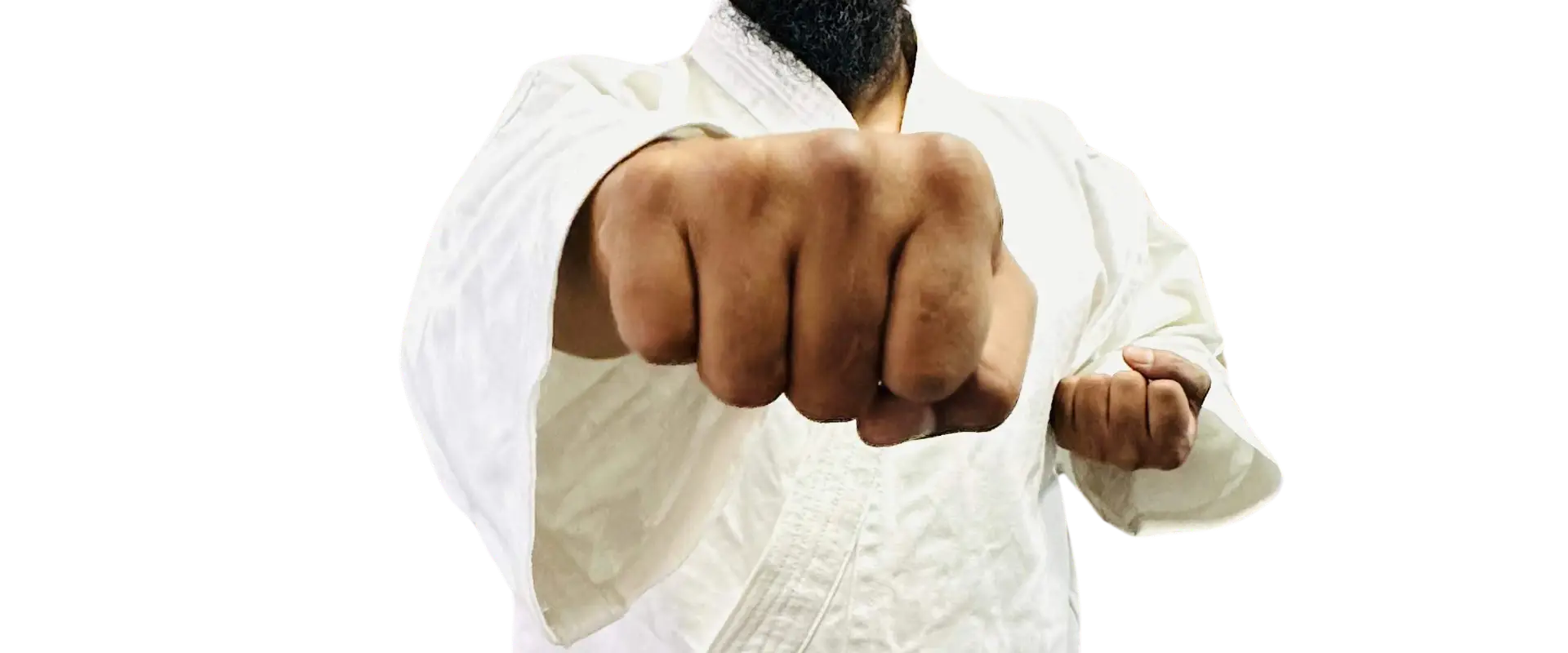 Karate Guru