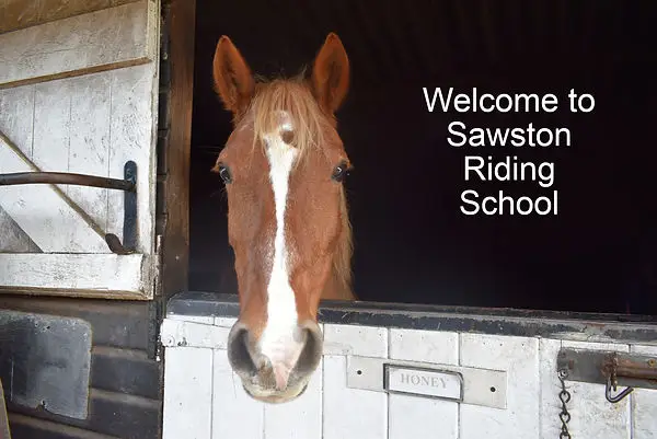 Sawston Riding School