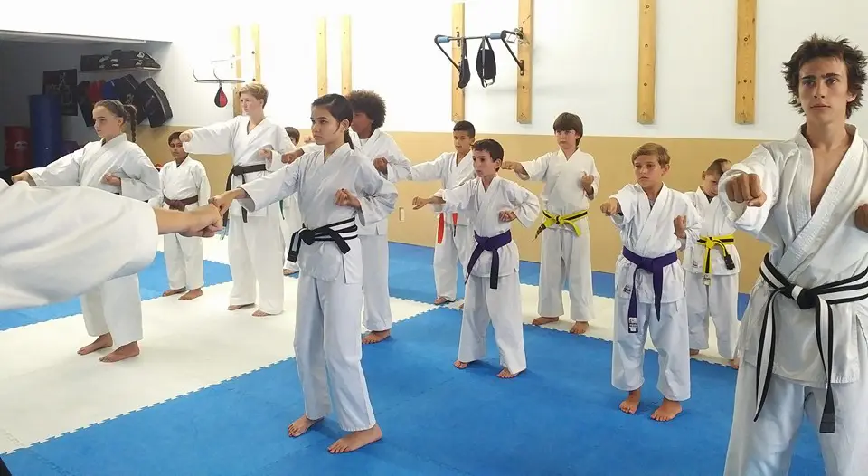 Tigers Lair Karate