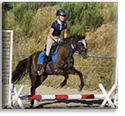 Karelia Riding Instruction Canberra
