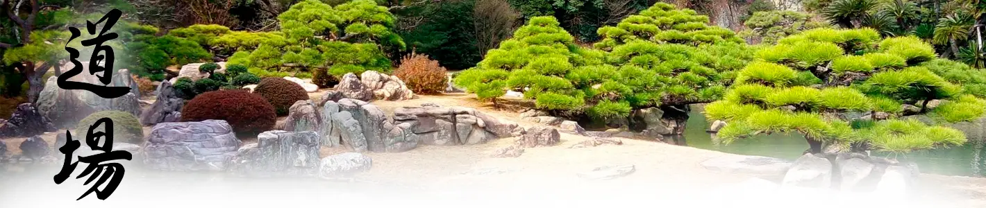 Dojo Historical Valence
