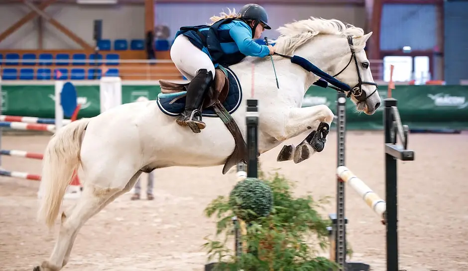Poney Club Bruyeres