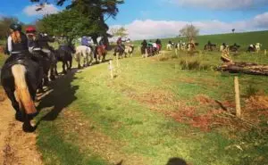 Killarney Riding Stables
