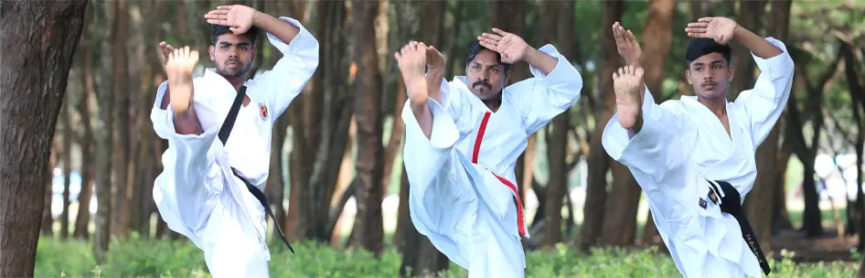 challenge karate &kobudo club veliyancode