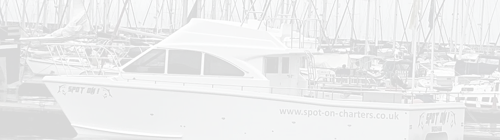 Spot On Charters & mackerel fishing