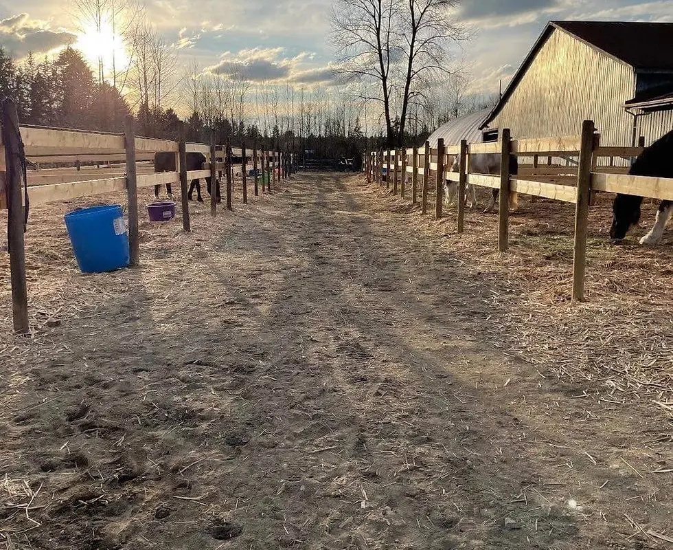 Coquitlam Equestrian Centre