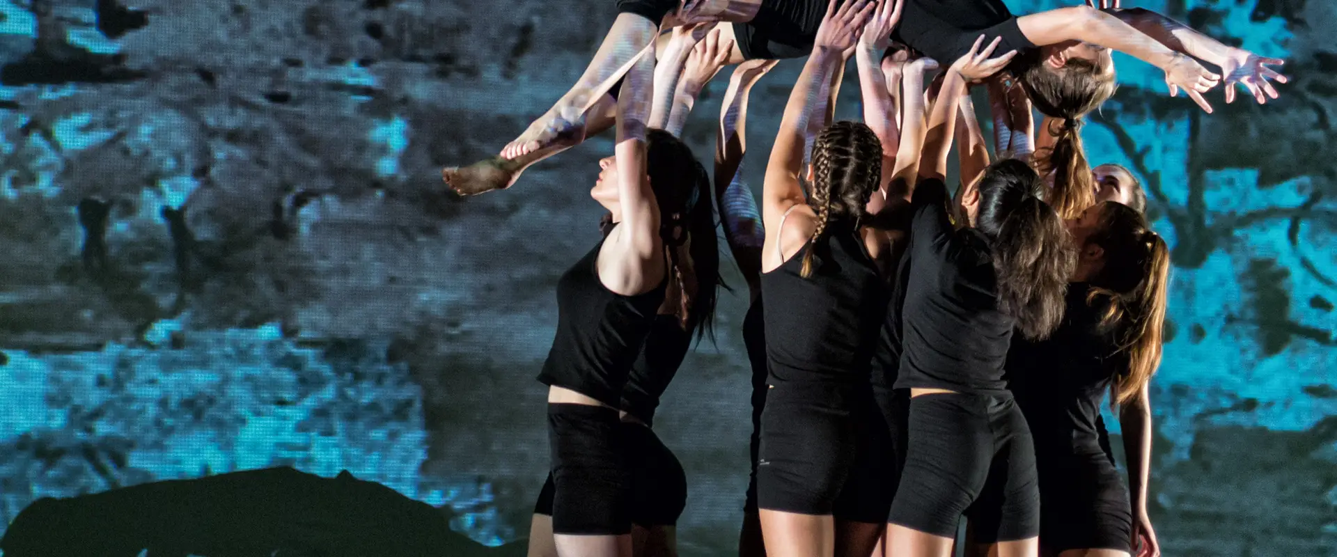 ASV DANSE