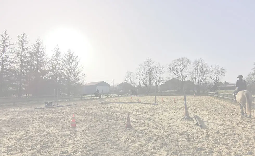 Co'Galop - Monitrice d'équitation indépendante