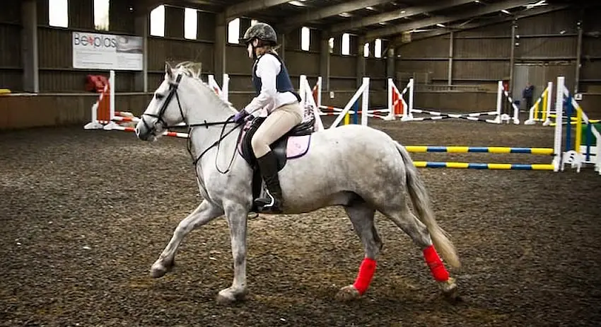 Larton Riding School