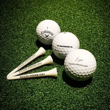 Eagles Indoor Golf
