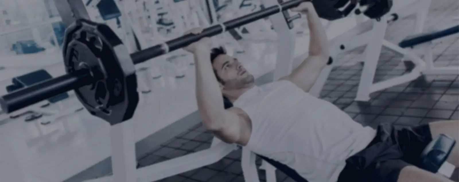 KT Fitness & Nutrition Ltd