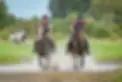 Lincomb Equestrian