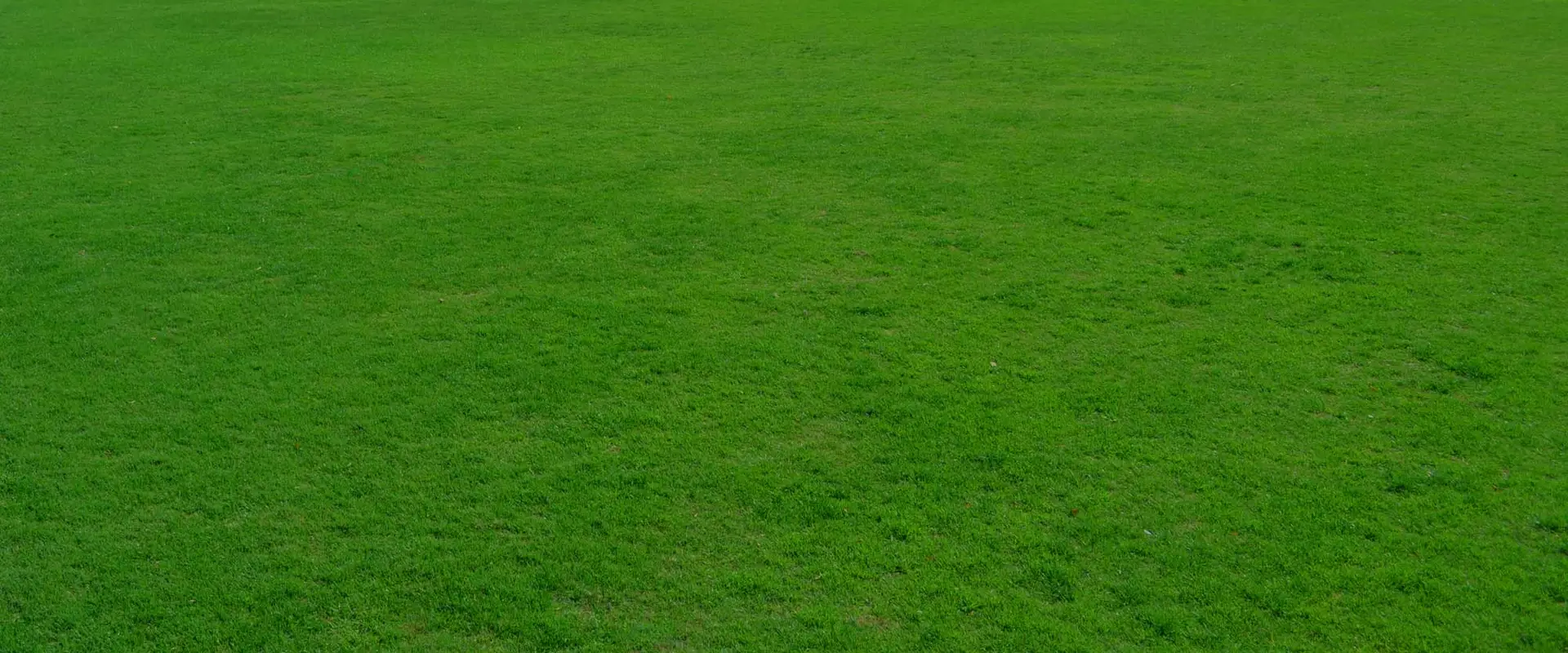 On The Green Physiotherapy & Pilates
