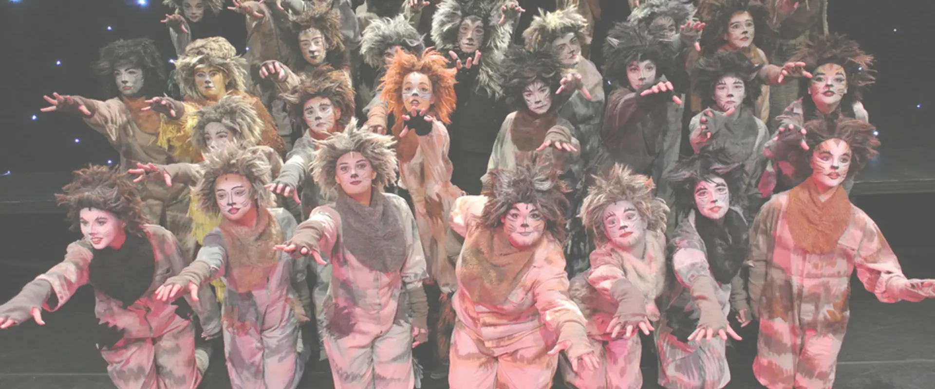 Spotlight Dance & Theatre School