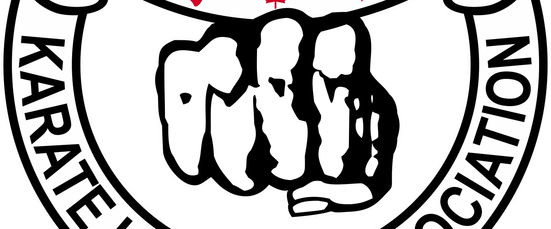 3 Fires Martial Arts Academy Lakeshore
