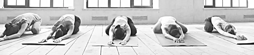 Fitness Dynamics