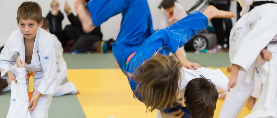 Sports Association Dojo Angloy
