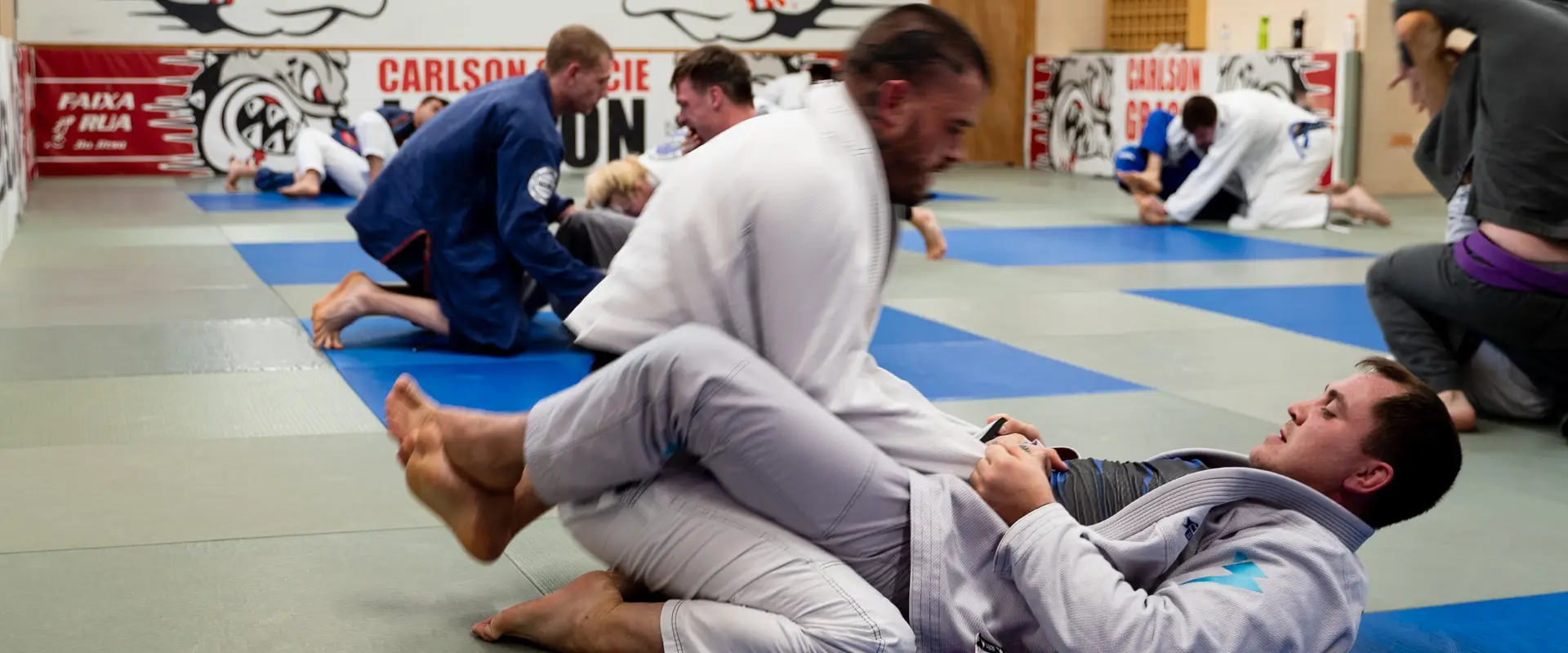 Carlson Gracie Jiu Jitsu Sheen