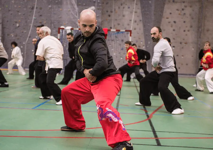 Academy Wukong Wushu
