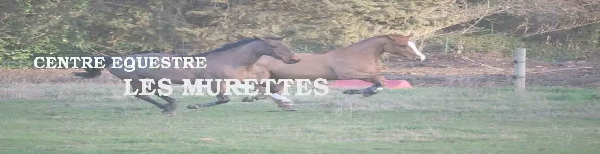 Centre Equestre les MURETTES