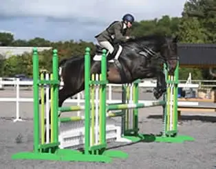 Wellpark Sports Horses