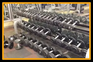 Pulse8 Elite Gym