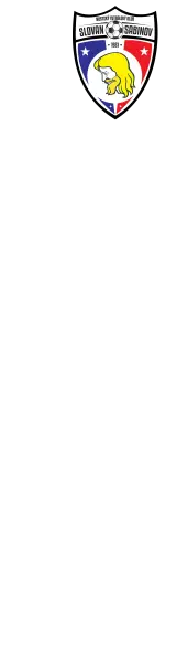 Mestský futbalový štadión
