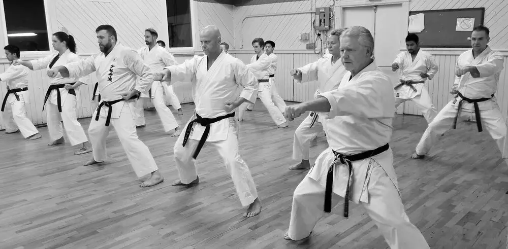 Shaolin-Tzu Martial Arts Academy