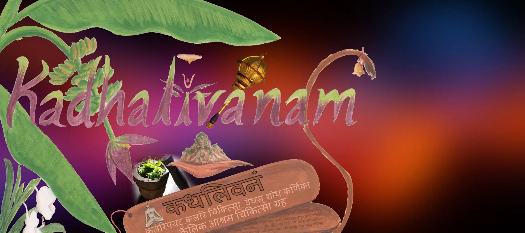 Akkanadan's Sreechakram Kalaripayattu Kalarichikitsa Kendram