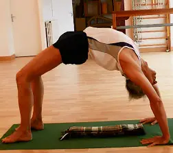 Centre De Yoga Iyengar De Nantes