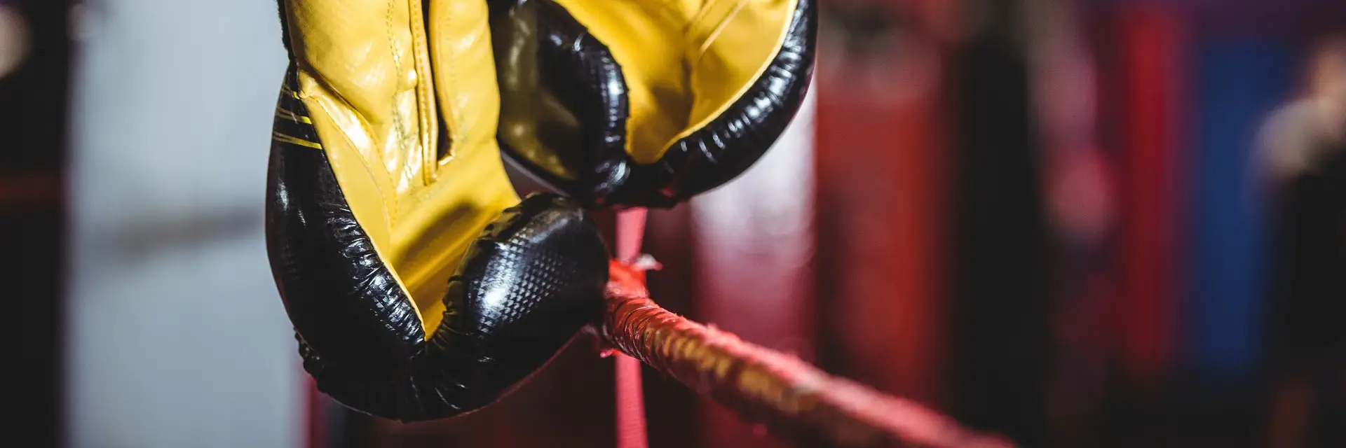 Born For Greatness - Boxing Club