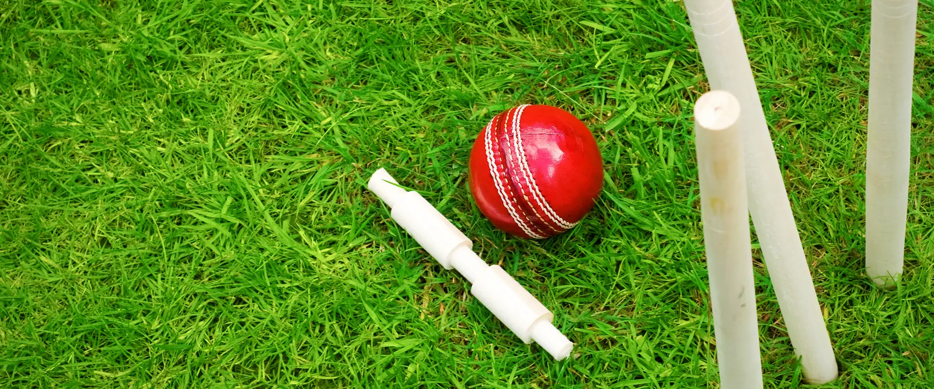 Pro Performance Cricket Sydney