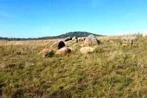 Tharwa Sandwash