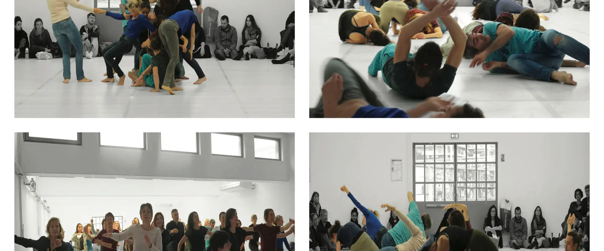 Compagnie /TranS/