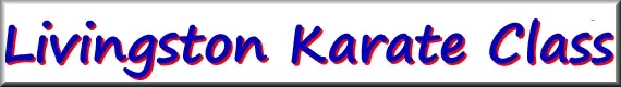 Wester Inch Karate Club