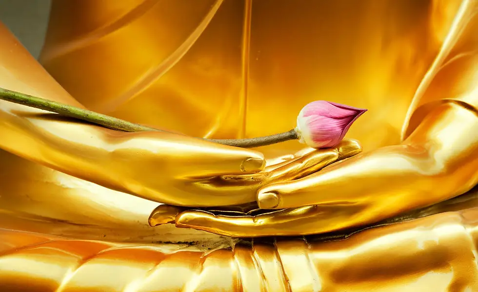 Neerja Prabhu - Holistic Wellness