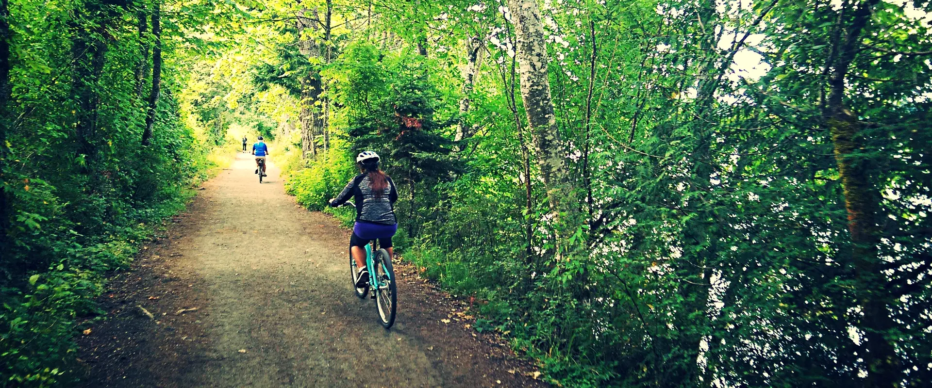 Into The Wild