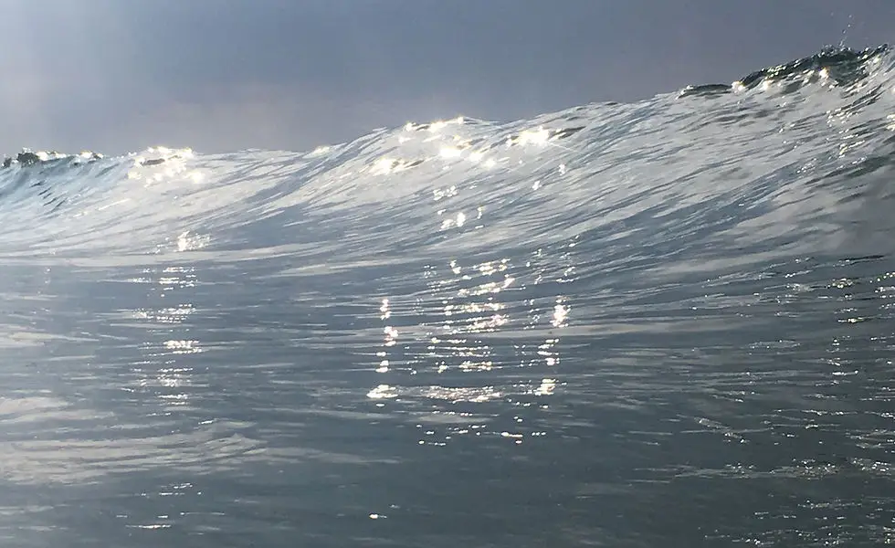 Panda Surf School