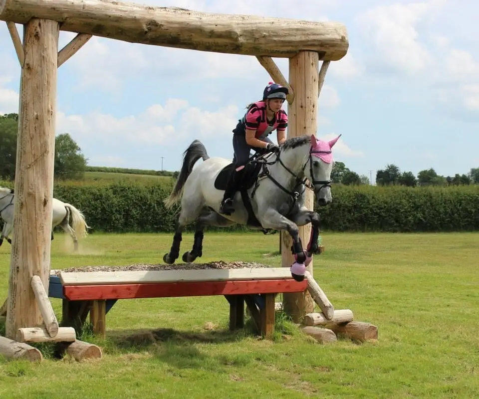 Tudor Stud Farm Equestrian Centre