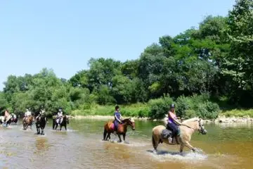 Centre Equestre des Combes